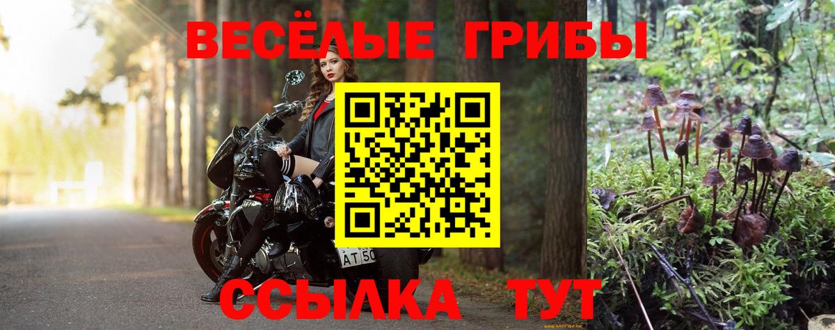 Галлюциногенные грибы MAGIC MUSHROOMS Тамбов